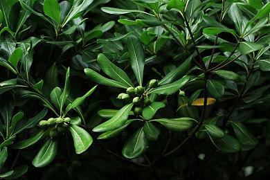 UE5重制游戏场景集锦 《赛博朋克2077》变这样