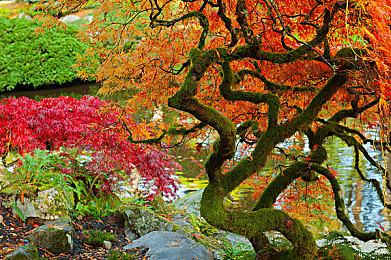 《命运2》推出波次防守PvE玩法“猛攻”模式